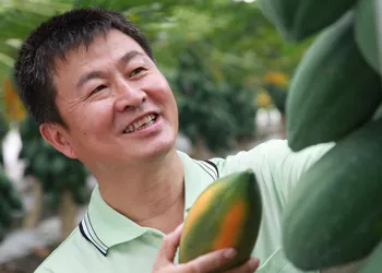 大紀事相關圖片