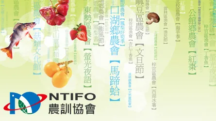 友站連結相關圖片