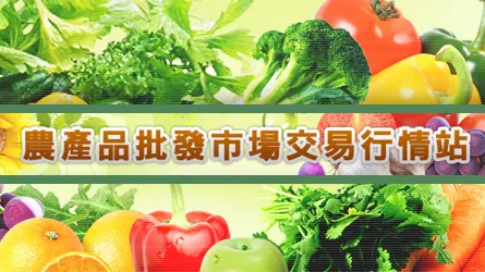 友站連結相關圖片