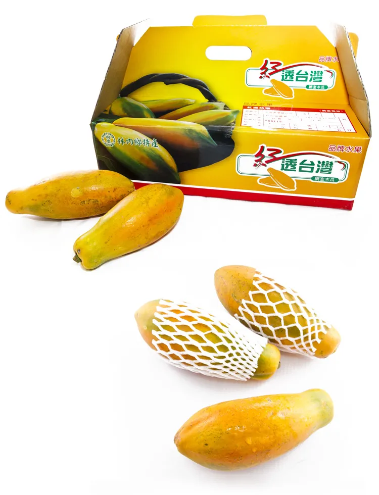 product-02 紅透台灣木瓜