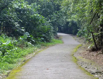 travel-pic-08_s2 龍過脈步道相關圖片