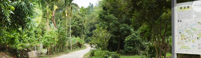 travel-pic-08_top 龍過脈步道相關圖片
