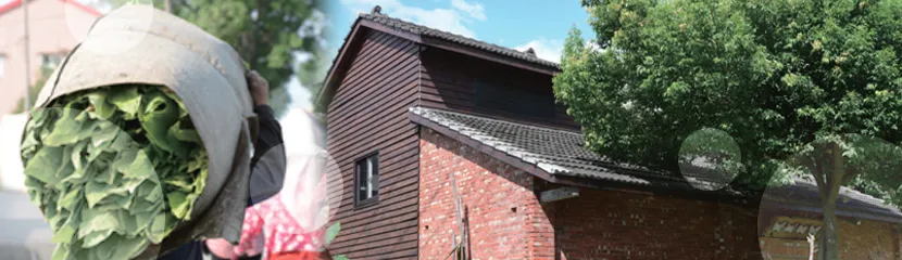 客家文化館相關圖片